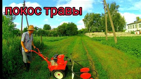 Покос травы мотоблоком. - YouTube