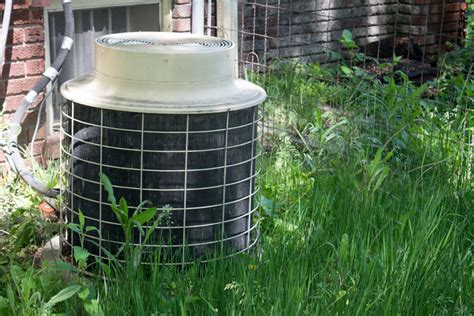 Tips For Landscaping Around An Ac Unit