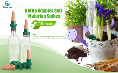 Amazon Bottle Adapter Self Watering Spikes Terracotta Plant