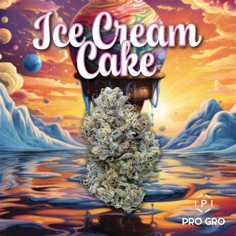 Pro Gro Ice Cream Cake Weedmaps