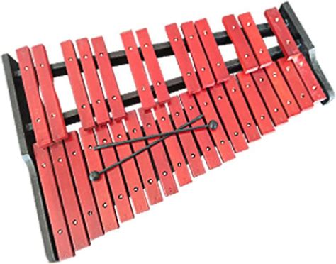 Amazon.com - Music Teaching Percussion Instrument Teaching Aids 32-Tone Xylophone Beginner ...