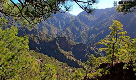 El Gobierno De Canarias Declara La Situaci N De Alerta Por Incendios