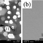 A SEM Top View Of As Grown ZnO Nanopillars And B ZnO Film Grown On