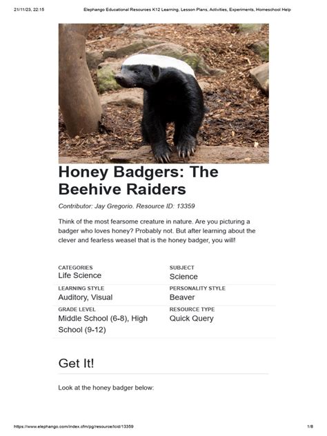 Honey Badgers The Beehive Raiders | PDF | Zoology