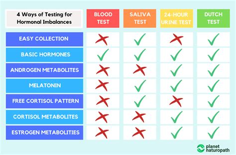 Why Men Should Take The Dutch Hormone Test