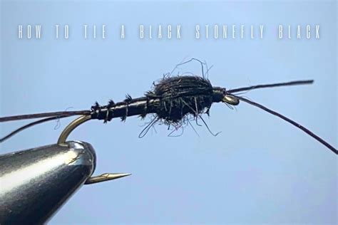 How To Tie A Black Stonefly Nymph Step By Step Guide