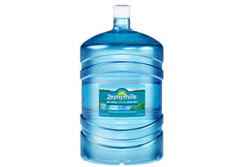 12 Ounce Bottled Water | Zephyrhills 100% Florida Spring Water