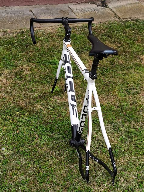 Rama Rowerowa Focus Arriba Rozmiar L Frameset Olsztyn Olx Pl