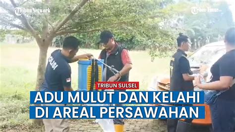 Duel Maut Di Area Persawahan Di Gowa Paman Tewas Di Tangan Ponakan