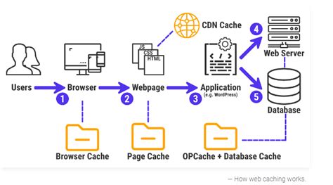 The 5 Common Web Caching Detailed Explanation For Caching