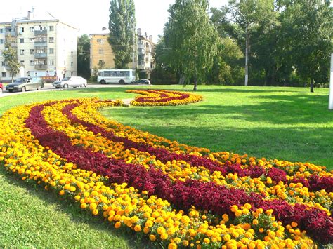 Клумба в виде звезды (77 фото) - красивые картинки и HD фото