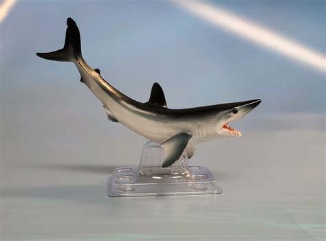 Isurus_oxyrinchus_CollectA – Animal Toy Blog