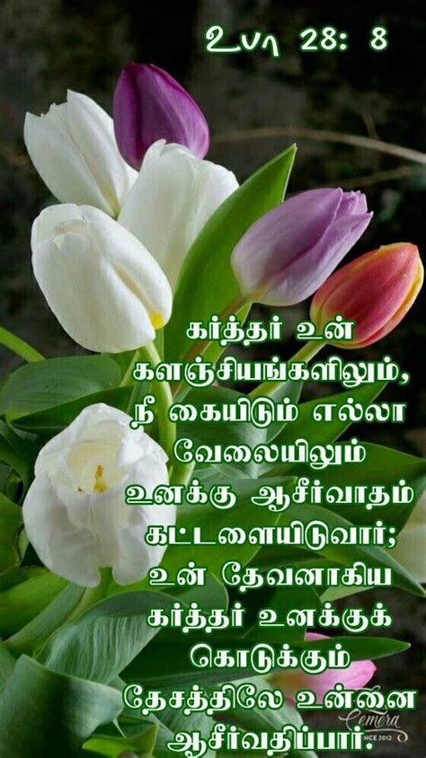 Good Morning Jesus Quotes In Tamil | Hutomo