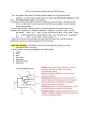 BIS 2C Lab Practical Study Guide Docx BIS 2C Lab Practical Study