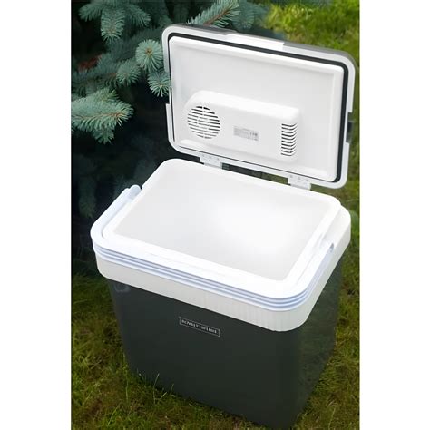 Купить Портативный холодильник 220в RoyaltyLine RL-CB24 Переносные ...