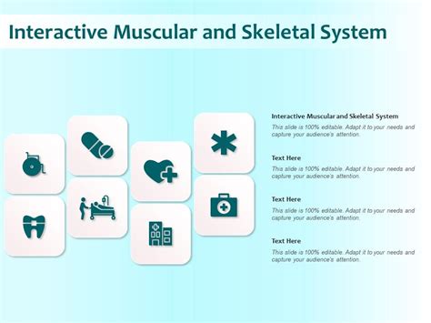 Interactive Muscular And Skeletal System Ppt Powerpoint Presentation