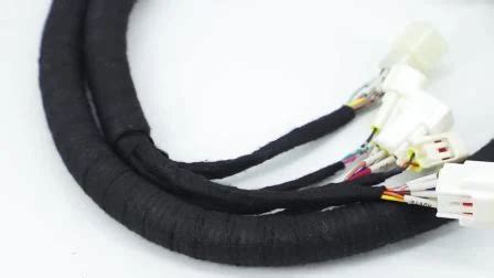 Cng Wiring Harness Engine Wiring Assembly V V Wire Harness And