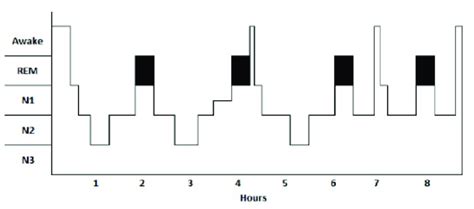 Hypnogram Of Scored Human Sleep Staging Reprinted With Permission