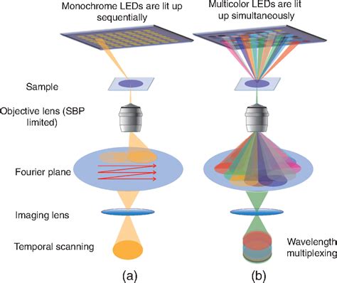 Fourier Ptychographic Microscopy Using Wavelength Multiplexing