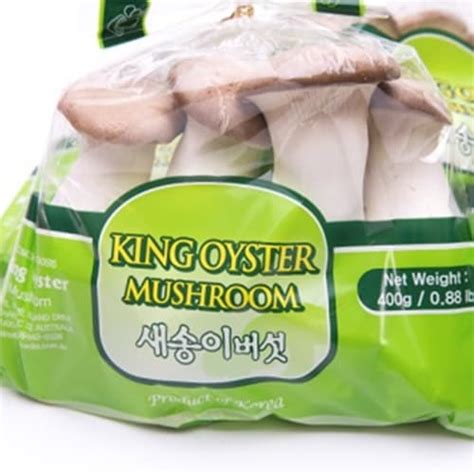 King Oyster Mushroom Tradekorea