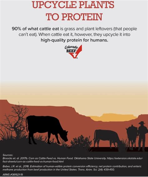 #beef #beefitswhatsfordinner #planttoprotein | Colorado Beef Council 