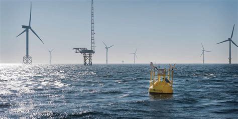 Areva renews Alpha Ventus service agreement | Recharge