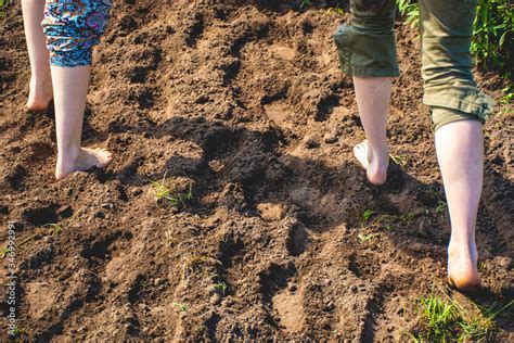 Walking Barefoot Through Muddy Road In Nature Barefoot Trail Shoeless