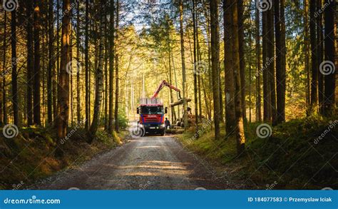 Crane In Forest Loading Logs In The Truck Timber Harvesting And