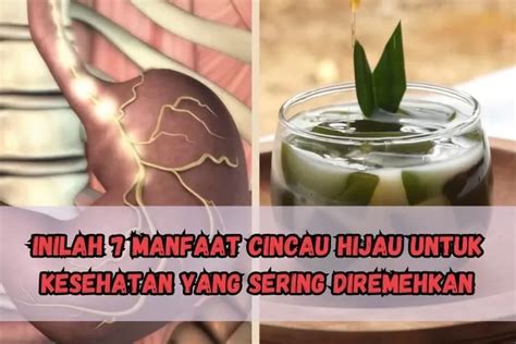 Bagus Untuk Pencernaan Dan Daya Tahan Tubuh Inilah Manfaat Cincau