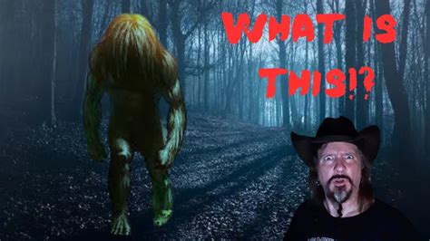 Unveiling The Dark Secrets Of Momo The Missouri Monster YouTube