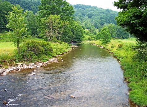 Dry Fork Trout Fishing West Virginia at Maggie Marler blog