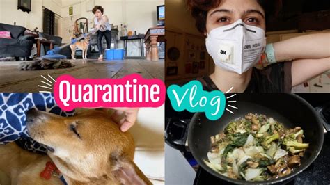 Vlog Life In Quarantine Youtube