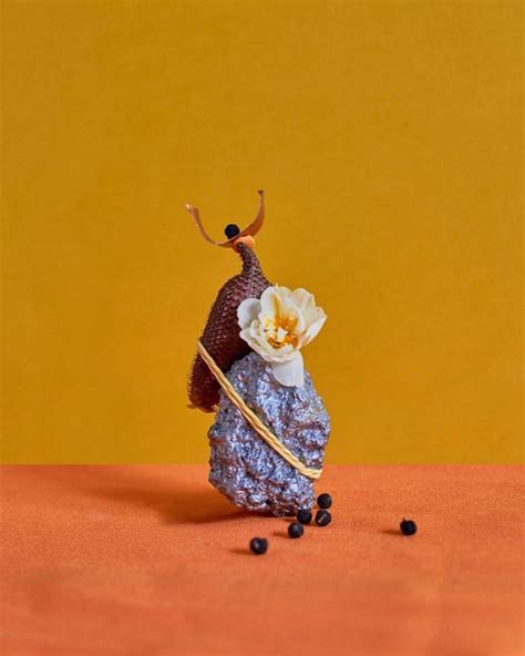 Anastasia Kolesnichenko Vaasialis Instagram Still Life