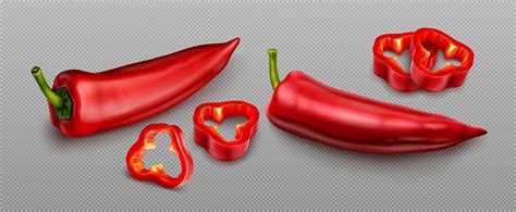 Red Chili Pepper Hot Spicy Paprika Cayenne Vector Art At Vecteezy