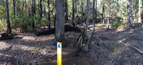 Langford Park Mountain Bike Trail In Jarrahdale Western Australia