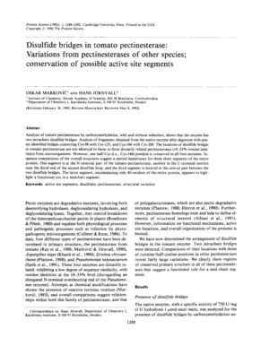 List Of Sex Positions Simple English Wikipedia The Free Encyclopedia Doc Template PdfFiller