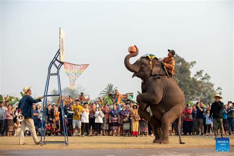 Elephant Festival Celebrated In Xayaboury Laos Xinhua