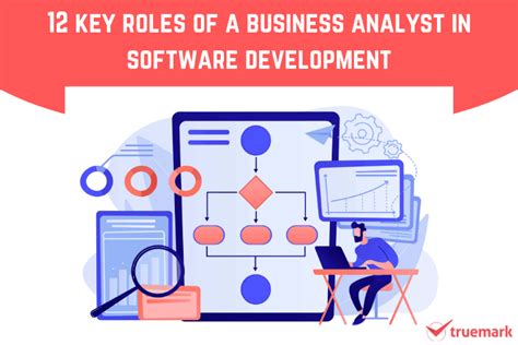 12 Key Roles Of A Business Analyst In Software Development The Dev Post