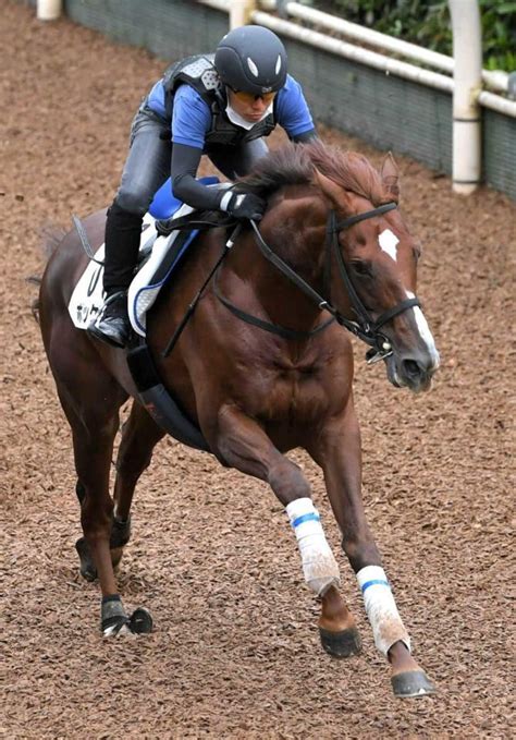 【京都大賞典】ボッケリーニ軽快 6歳迎え本格化 池江師「口向きが良くなった」競馬・レースデイリースポーツ Online