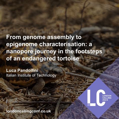 London Calling From Genome Assembly To Epigenome Characterisation