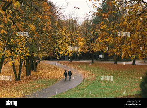 A Generel View Of Rheinaue Park During The Autumn Season As Trees