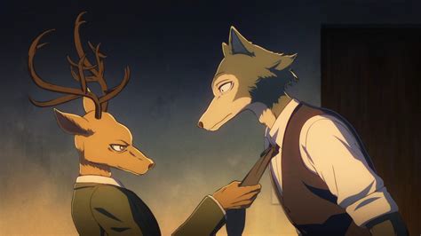 Dix Minutes Du Premier épisode De Beastars Dévoilées Coyote Mag