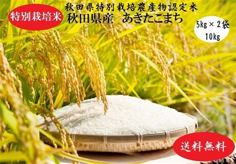 新米！【無洗米10kg特栽】令和4年産 秋田県特別栽培農産物認証米 特別栽培米 秋田県産 あきたこまち 10kg 5kg×2袋 グルメな方や