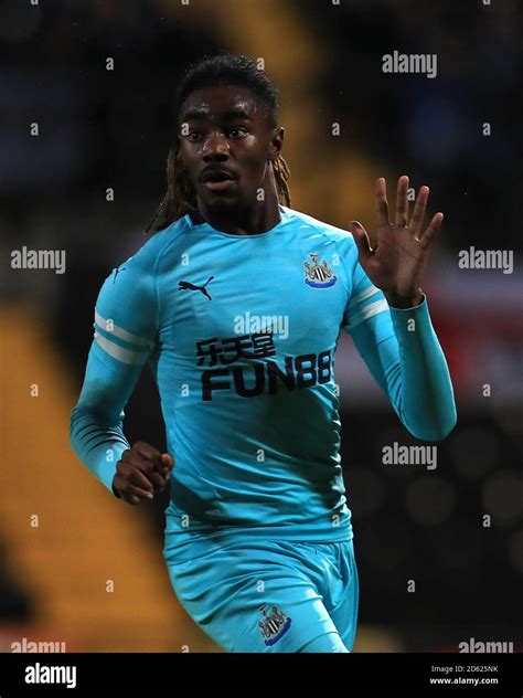 Stefan Oconnor Newcastle United Stock Photo Alamy