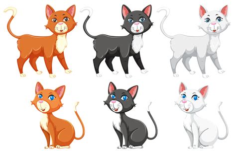 A Set Of Different Cat 591217 Vector Art At Vecteezy