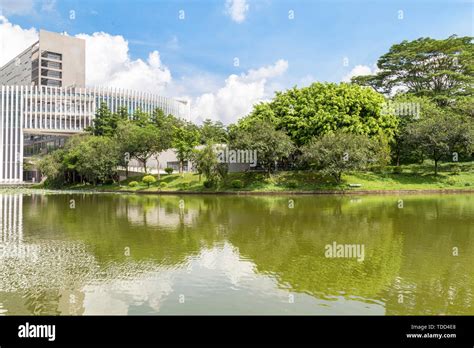 Library of Guangdong Pharmaceutical University Stock Photo - Alamy