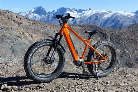 V Lo Vtt Lectrique Vae Gorille Cycles