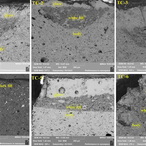 Scanning electron microscopy images of the six samples | Download ... 