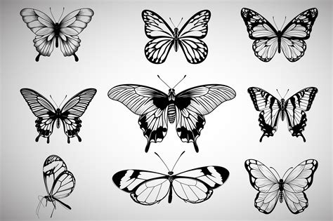 Set of Butterflies Vector Graphic by Ghagra · Creative Fabrica