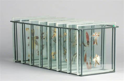 Glass Slide | Art UK